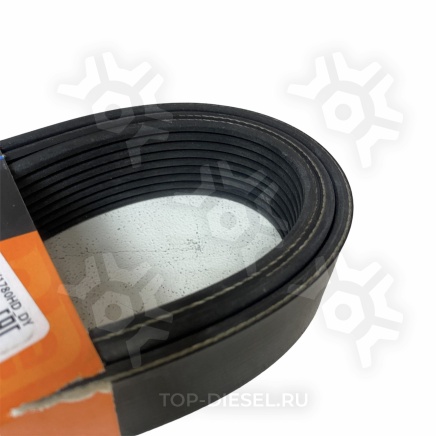 9PK1780HD Ремень поликлиновой 9PK1780 Mercedes Benz AXOR Dayco купить рис.3