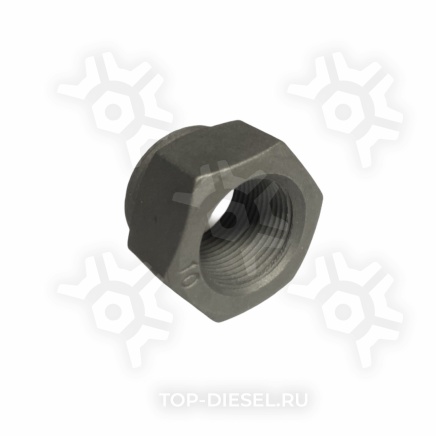 8902331SX Гайка стремянки M22x1.5-10 BPW Stellox купить рис.2