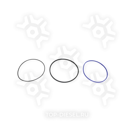 496010 Ремкомплект ГУР большой TRW Freightliner/International PAI купить рис.2