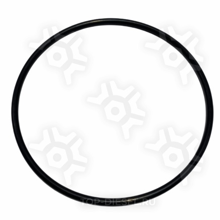 1017374 Уплотнительное кольцо сальник Schmitz Cargobull купить