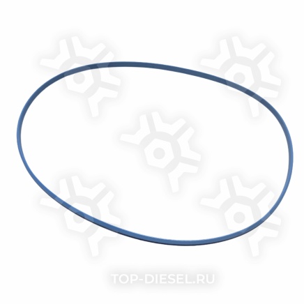 M4371409 Кольцо уплотнительное гильзы Caterpillar C-11/12/13, Freightliner/International McBEE купить