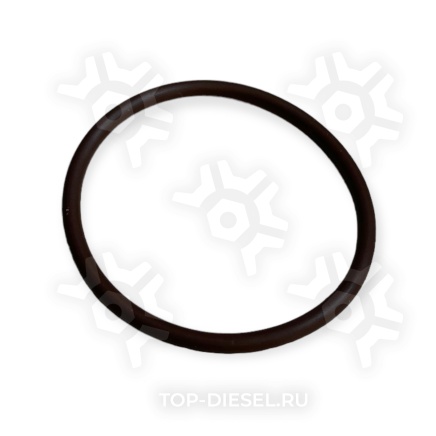 756074 Кольцо уплотнительное топливного насоса DAF XF105/Iveco EuroTrakker/Iveco Cursor/Iveco Stralis/Volvo/Renault Premium/Mercedes Benz Diesel Technic купить