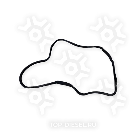 2299986 Ремкомплект двигателя полный DAF CF/XF 105 большой DAF купить рис.23