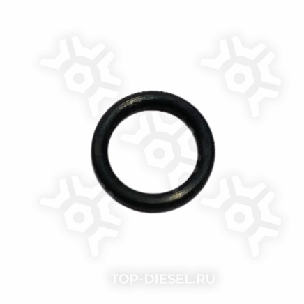 3678925 Кольцо уплотнительное заглушки блока EGR Cummins ISX/QSX15 Freightliner/International Cummins купить