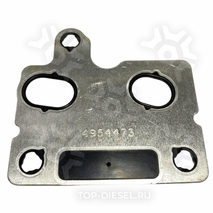 131930 Прокладка топливного насоса Cummins ISX Freightliner/International Cummins PAI купить