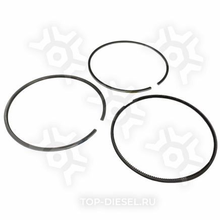 4089406 Комплект поршневых колец Cummins ISX/QSX15 Freightliner/International купить рис.2