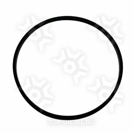 M4985660 Уплотнительное кольцо клапанного распредвала задняя Cummins ISX McBEE купить