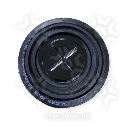 PG5873 Фильтр воздушный Kenworth T2000 Peterbilt 387 Powerguard купить рис.4