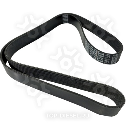 9PK1550HD Ремень генератора 9PK1550HD Freightliner MBE Dayco купить рис.2