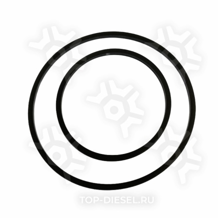 3820945 Кольцо уплотнительное корпуса шестерен Cummins M11 Cummins купить