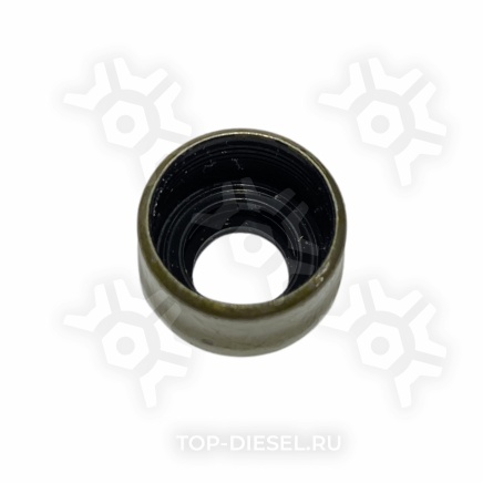 M4312008 Колпачок маслосъемный Cummins ISX/QSX EGR Freightliner McBEE купить рис.2